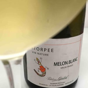 Catorpee Blanc - Domaine de la Tourlaudière - romain-petiteau