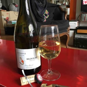 Catorpee Blanc - Domaine de la Tourlaudière - romain-petiteau
