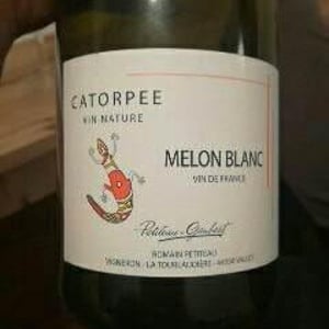 Catorpee Blanc - Domaine de la Tourlaudière - romain-petiteau