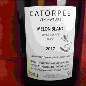 Domaine de la Tourlaudière - Romain Petiteau - Catorpee Blanc