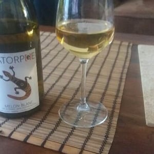 Domaine de la Tourlaudière - Romain Petiteau - Catorpee Blanc