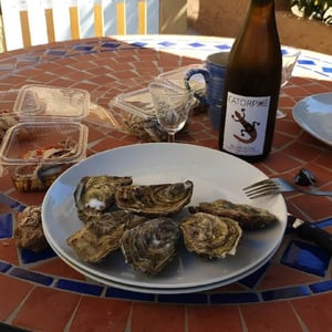 Catorpee Blanc - Domaine de la Tourlaudière - Romain Petiteau 