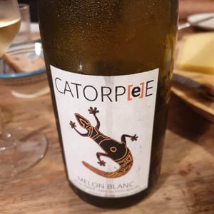 Domaine de la Tourlaudière - Romain Petiteau - Catorpee Blanc
