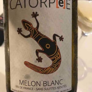 Catorpee Blanc - Domaine de la Tourlaudière - Romain Petiteau 