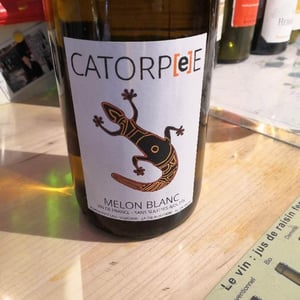 Catorpee Blanc - Domaine de la Tourlaudière - romain-petiteau