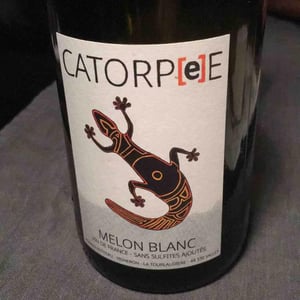 Catorpee Blanc - Domaine de la Tourlaudière - romain-petiteau