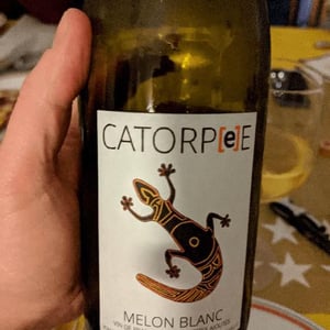 Domaine de la Tourlaudière - Romain Petiteau - Catorpee Blanc