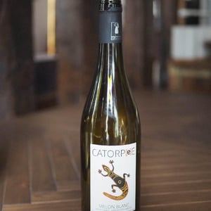 Catorpee Blanc - Domaine de la Tourlaudière - romain-petiteau