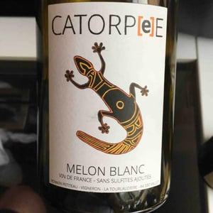 Domaine de la Tourlaudière - Romain Petiteau - Catorpee Blanc