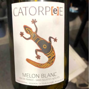 Domaine de la Tourlaudière - Romain Petiteau - Catorpee Blanc
