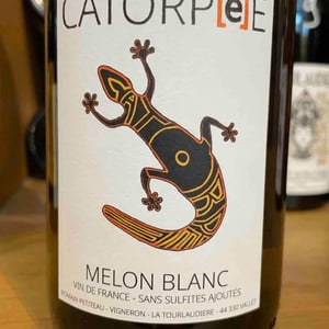 Catorpee Blanc - Domaine de la Tourlaudière - Romain Petiteau 