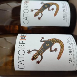 Catorpee Blanc - Domaine de la Tourlaudière - romain-petiteau