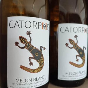 Catorpee Blanc - Domaine de la Tourlaudière - romain-petiteau