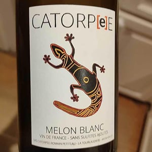 Domaine de la Tourlaudière - Romain Petiteau - Catorpee Blanc