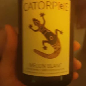 Catorpee Blanc - Domaine de la Tourlaudière - romain-petiteau