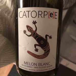 Domaine de la Tourlaudière - Romain Petiteau - Catorpee Blanc