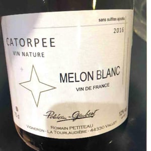 Catorpee Blanc - Domaine de la Tourlaudière - romain-petiteau