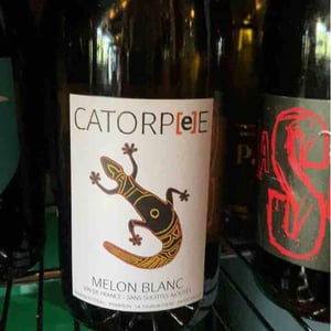 Catorpee Blanc - Domaine de la Tourlaudière - romain-petiteau