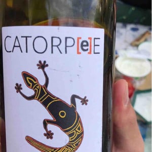 Catorpee Blanc - Domaine de la Tourlaudière - romain-petiteau
