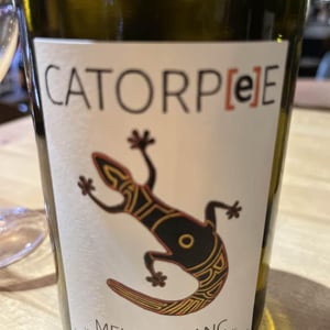 Catorpee Blanc - Domaine de la Tourlaudière - romain-petiteau