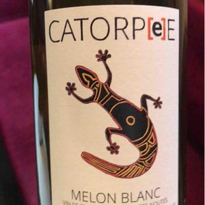 Catorpee Blanc - Domaine de la Tourlaudière - romain-petiteau