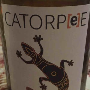 Catorpee Blanc - Domaine de la Tourlaudière - romain-petiteau