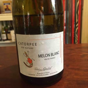 Catorpee 2017