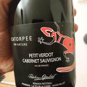 Catorpee Rouge - Domaine de la Tourlaudière - romain-petiteau