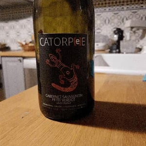 Catorpee Rouge - Domaine de la Tourlaudière - Romain Petiteau 