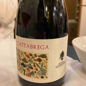 Cattabrega - Podere Sottoilnoce - Max Brondolo 