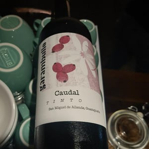 Caudal - Cava Garambullo - branko-natalia-pjanic -2021