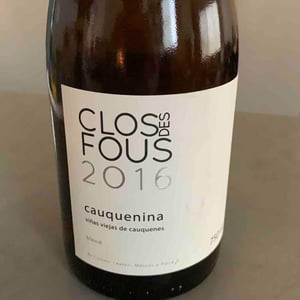 Cauquenina - ITATA VALLEY, CHILE - pedro-parra-francois-massoc-paco-leyton-albert-cussen