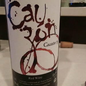 Bodega Cauzon - Ramón Saavedra - Cauzon