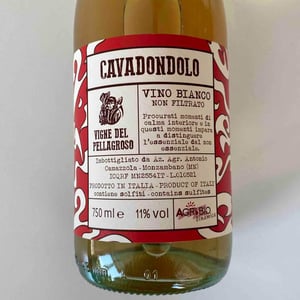 Cavadondolo - Vigne Del Pellagroso - Antonio Camazzola 