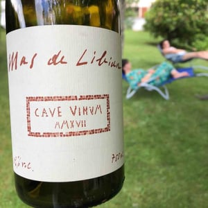 Cave Vinum - Mas de Libian - helene-thibon