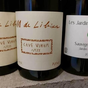 Cave Vinum - Mas de Libian - helene-thibon