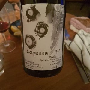Cayenne (boxer) - Julie Balagny - Julie Balagny 
