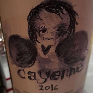 Cayenne (boxer) - Julie Balagny - Julie Balagny 