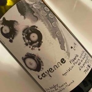 Cayenne (octopus) - Julie Balagny - Julie Balagny 