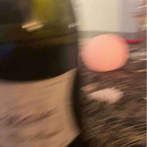Métisse Noirs & Blancs - Champagne Olivier Horiot - Olivier Horiot 