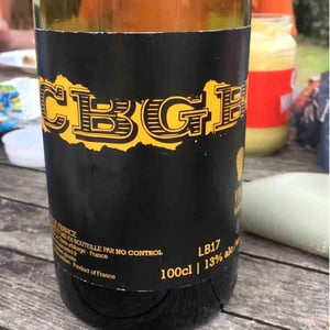 CBGB - No Control - Vincent Marie 