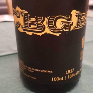 CBGB - No Control - Vincent Marie 