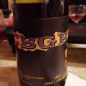 CBGB - No Control - Vincent Marie 