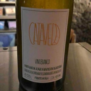 Catavela - Azienda Agricola Denavolo - giulio-armani