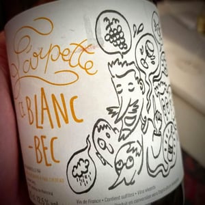 Ce Blanc-Bec - Les Vins de l'Arpette - Paul Chereau 