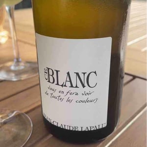 Ce Blanc vous en fera voir de toutes les couleurs - Jean-Claude Lapalu - Jean-Claude Lapalu 