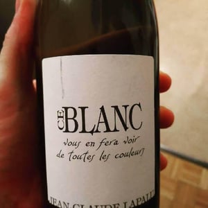 Ce Blanc vous en fera voir de toutes les couleurs - Jean-Claude Lapalu - jean-claude-lapalu