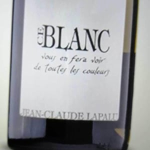 Ce Blanc vous en fera voir de toutes les couleurs - Jean-Claude Lapalu - Jean-Claude Lapalu 