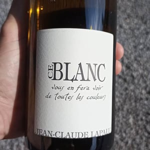 Ce Blanc vous en fera voir de toutes les couleurs - Jean-Claude Lapalu - jean-claude-lapalu