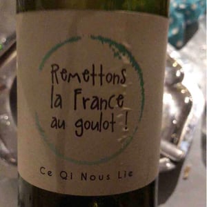 Ce qi nous lie - De Vini - Vini Libre - Christophe Bosque 